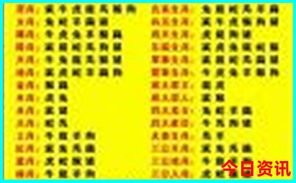 适合带10岁孩子去旅游的地方