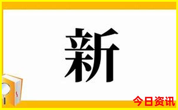尼斯的十大著名景点